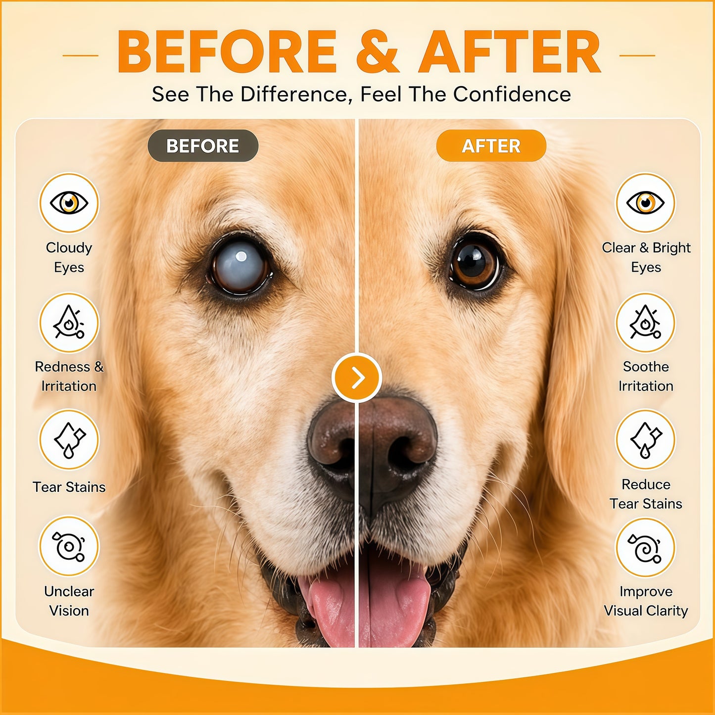 Aura Pets Advanced Vision Formula for Dogs - Eye Health Support with Lutein | Zeaxanthin & Astaxanthin - Helps Maintain Clear Vision & Comfort - 30ml Liquid Supplement