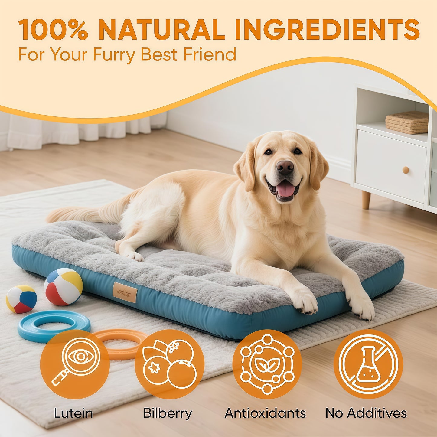 Aura Pets Advanced Vision Formula for Dogs - Eye Health Support with Lutein | Zeaxanthin & Astaxanthin - Helps Maintain Clear Vision & Comfort - 30ml Liquid Supplement
